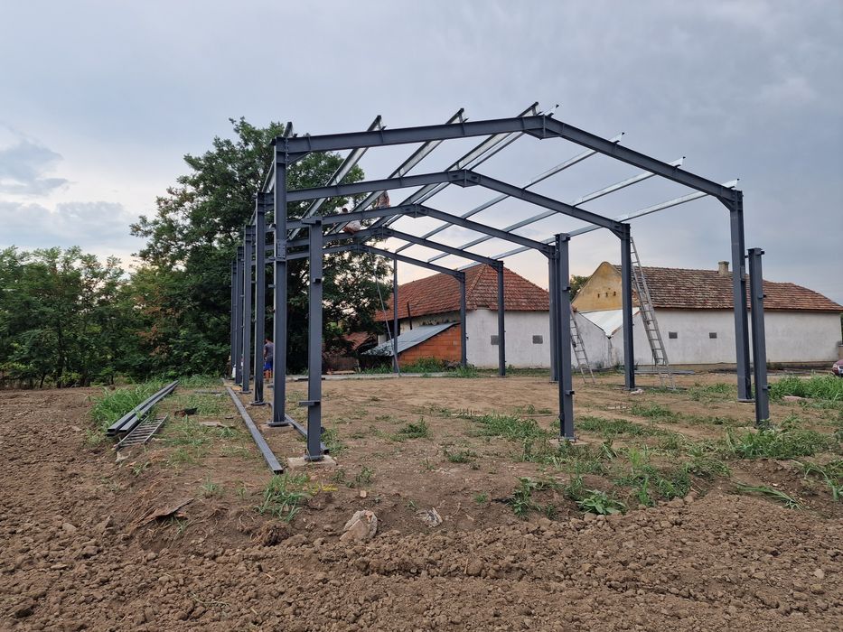 Vand hala metalică 14x20x6 pe  elemente si alte m