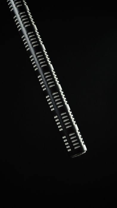 5DEAL Microfon Sennheiser ME67 + K6
