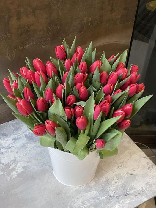 Тюлпаны разных сортов галандия