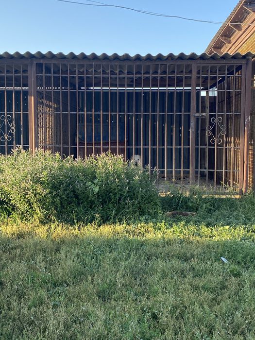 Улкен Вальер сатылады