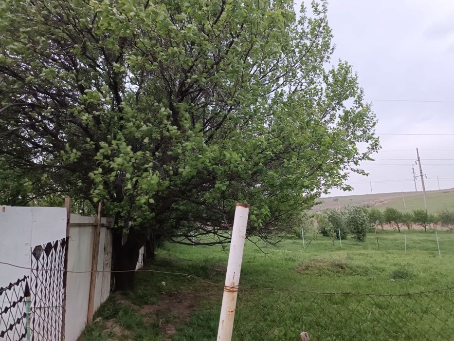 Продаётся земля цена договорная