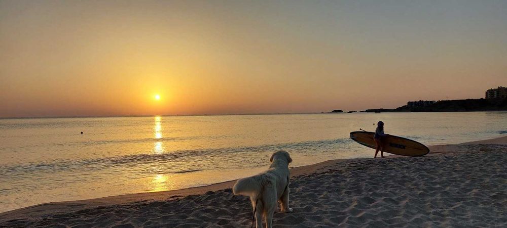 Продавам каравана с място в Къмпинг Юг