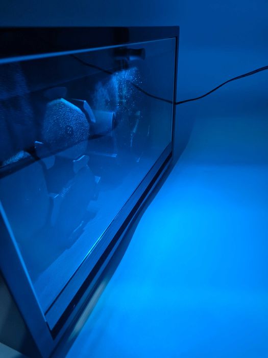 Cutie Watch Winder ANWBROAD 6 Ceasuri Automate - Red Piano Finish