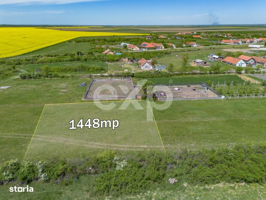 De Vanzare: 1.448 Mp De „Liniște Pură” La Nițchidorf