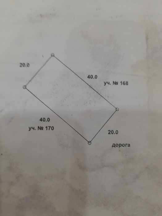 Дача, плодовоягодные насаждения