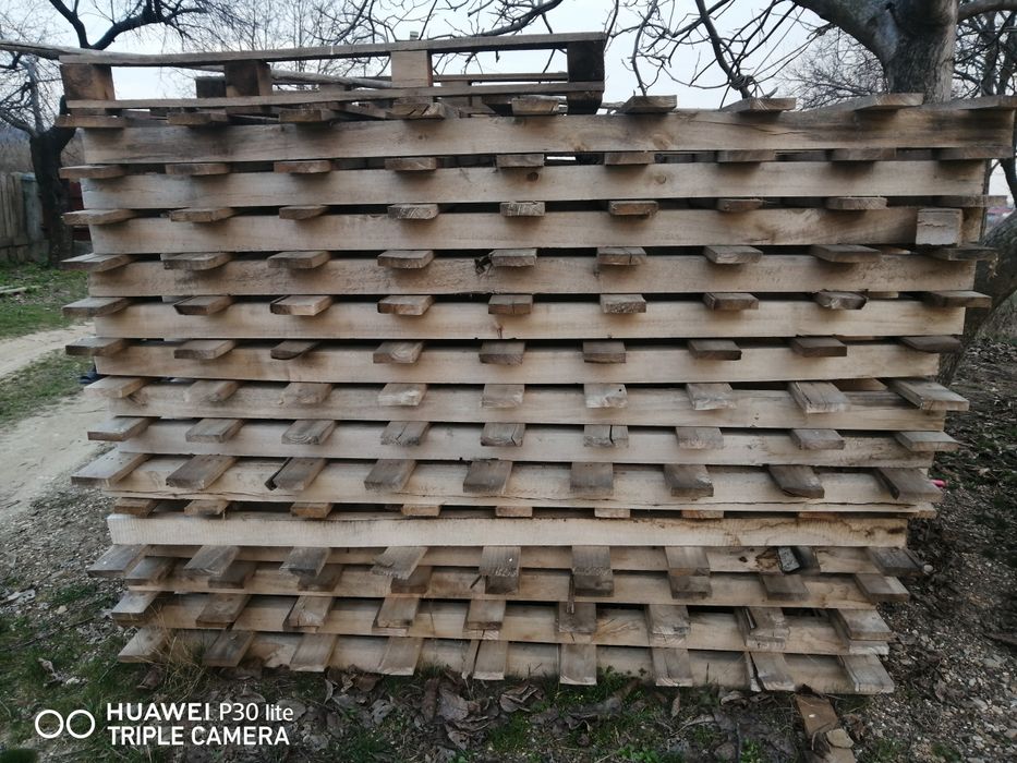 Vând paleti 280 × 200.6