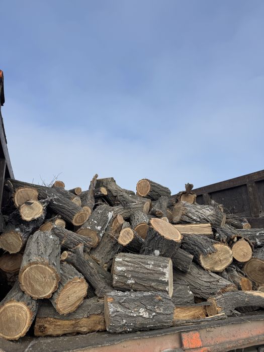 Продам дрова на шашлык, для бани самый раз