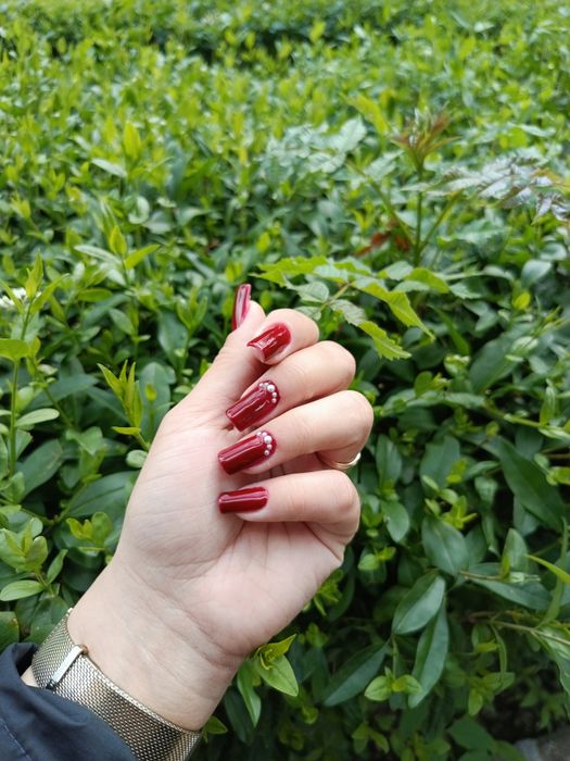 Manichiură, pedichiură estetică