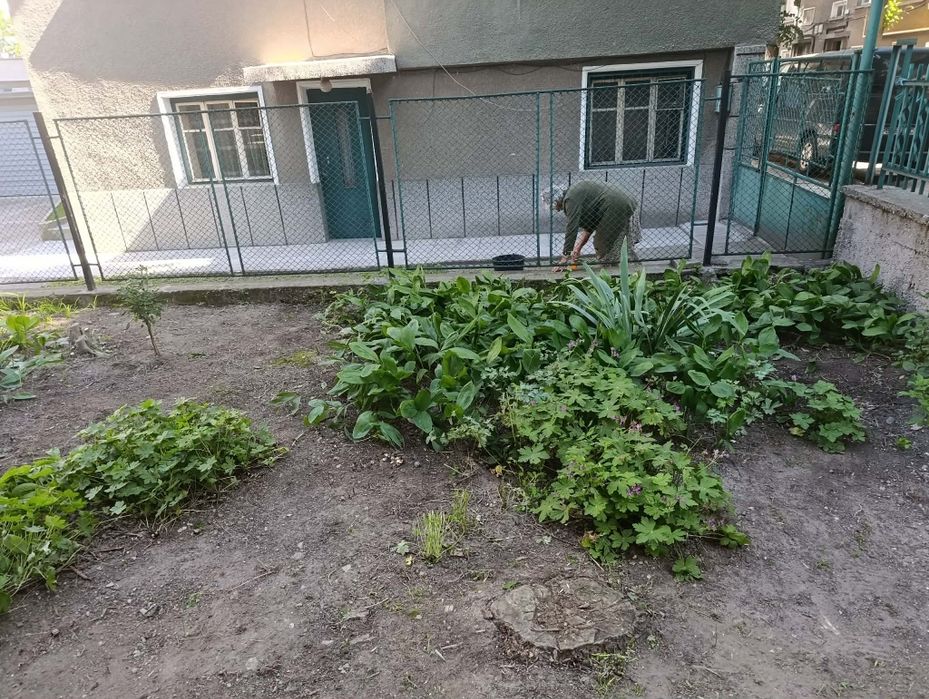 Косене на трева, резитба и поддръжка на градини