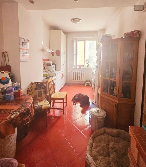 Продава се Тристаен апартамент в София, Център - 118 кв.м за 2139 €/кв.м - Снимка #7