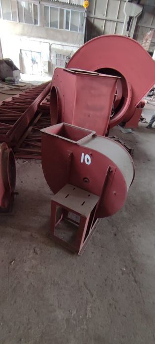 Продаются улитки