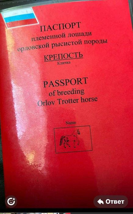Кобыла Орловской породы
