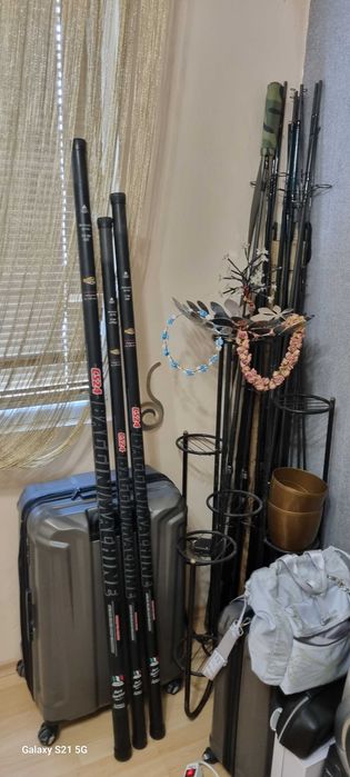 Шаранска щека Middy.