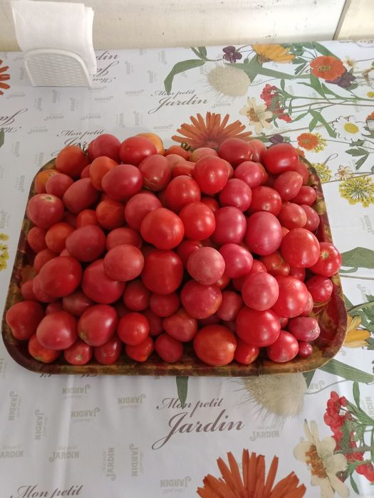 Продам домашние помидоры.
