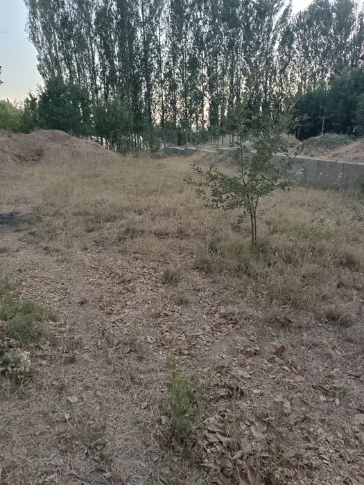 Uchastka  sotiladi