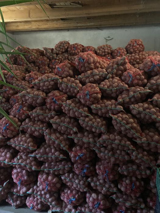 Vand Cartofi Bellarosa