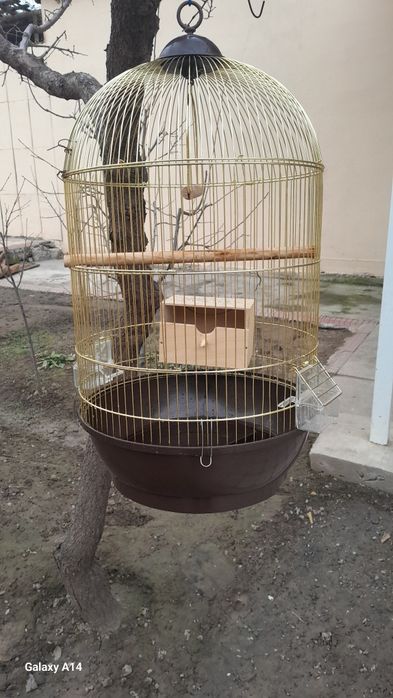 БООООЛЛЛЬШАААЯЯ Клетка для попугаи и т.д