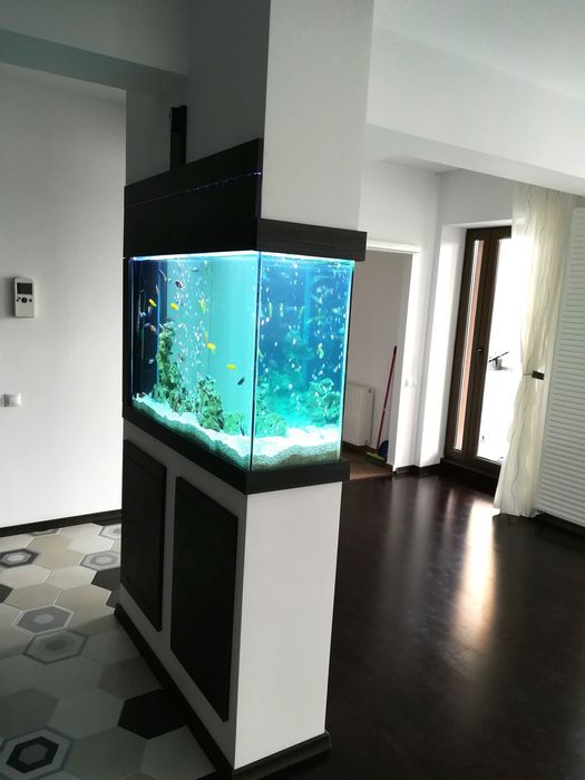 Amenajare și întreținere acvarii