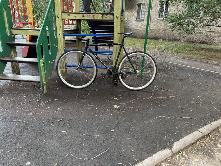 pure fix fixed gear