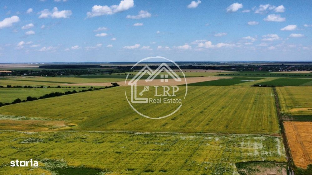 Teren Intravilan 20.000 mp Creata Dascalu, T66– dubla deschidere