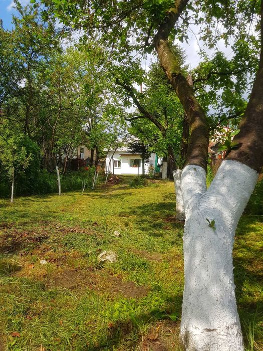 Casă in Breaza de Sus, ultracentral, 3 camere, teren 376 mp-76.000 € (negociabil)