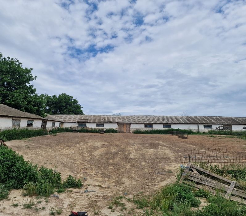 Ferma de vanzare in Cochirleni, Constanta