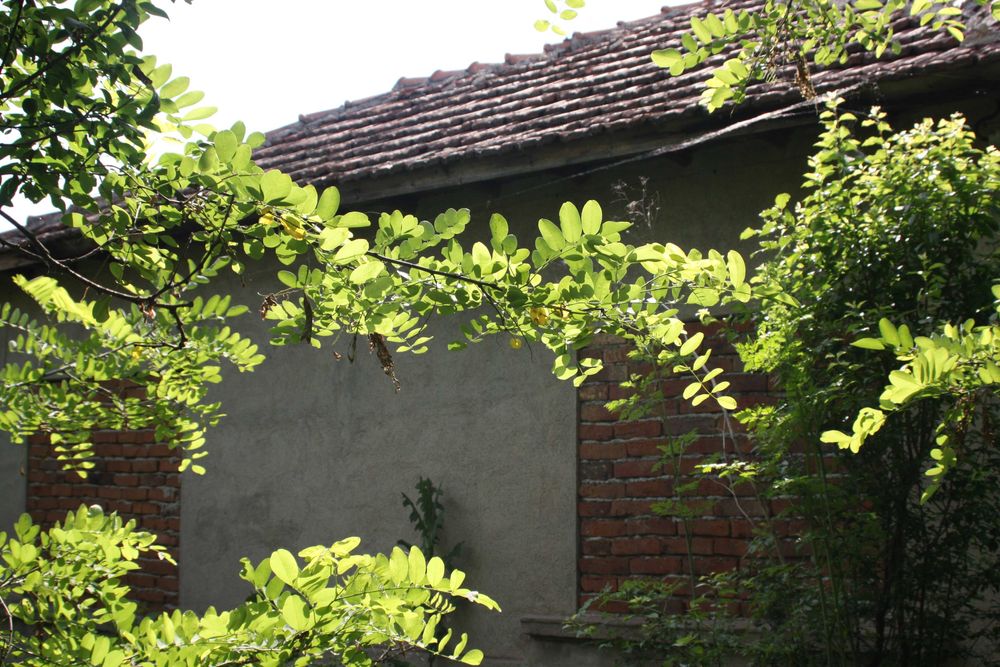 Продава се Къща в София, Дианабад - 60 кв.м за 119 €/кв.м - Снимка #3