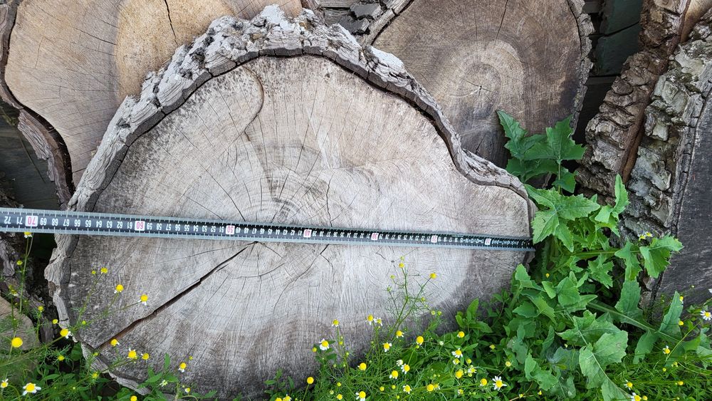 Bucăți felii din lemn de nuc