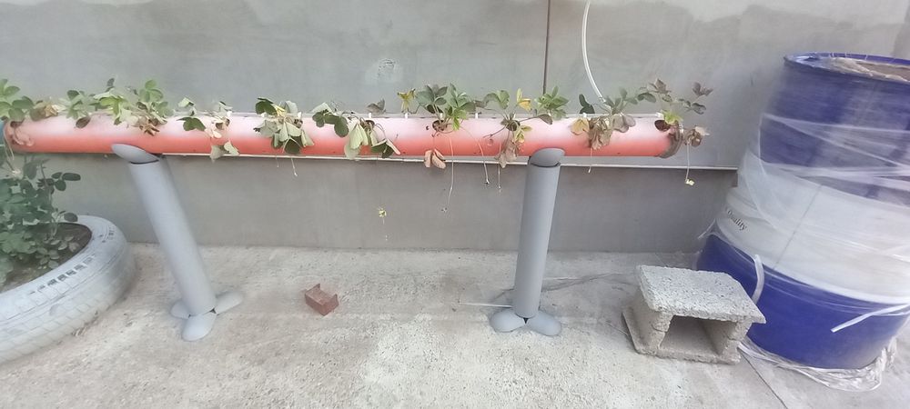 Стойка за отглеждане на ягоди