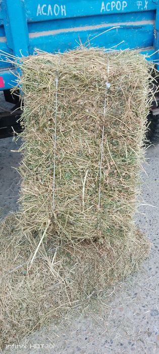 Беда прес сотилади оптом