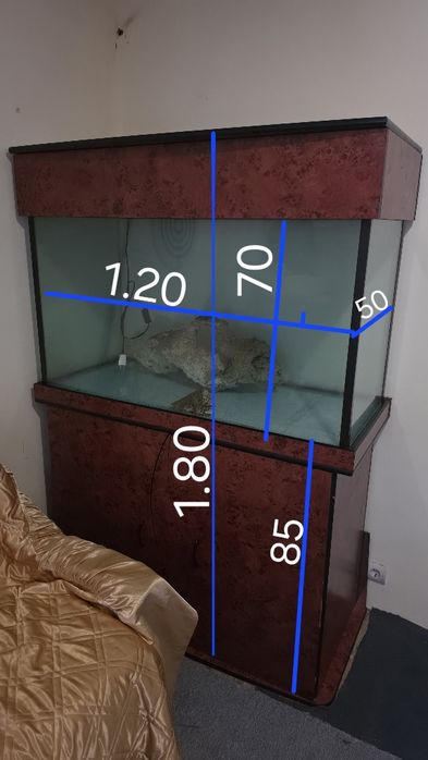 Aqariu mare pt pesti