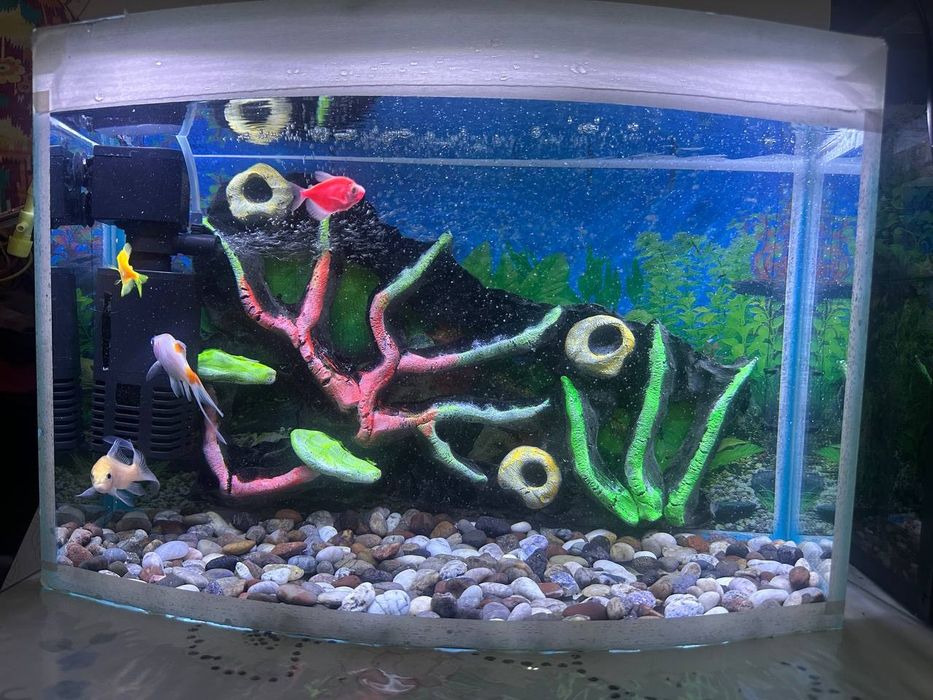 Akvarium ovalniy 30litr komplekt sotiladi