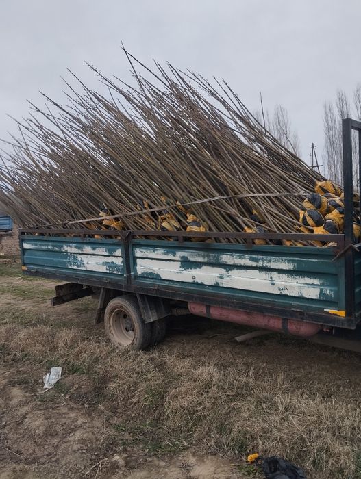 Енг арзони ва сифатлиси бизда..танлов у́з ку́лингизда