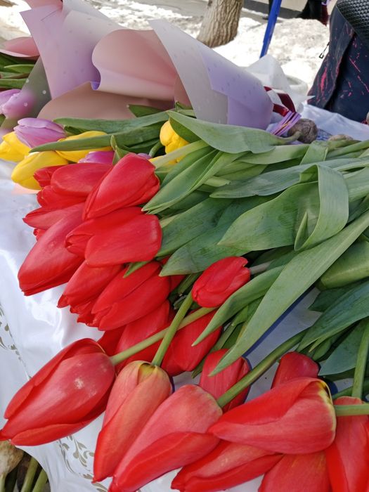 Тюльпаны цветы доставка бесплатная по городу