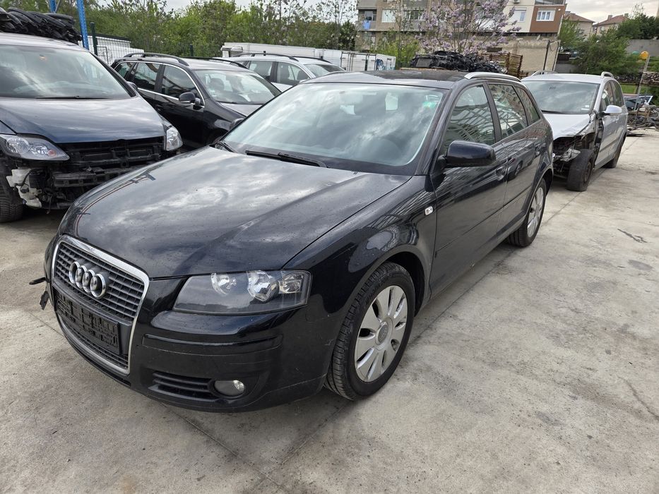 Audi a3 8p 1.9 TDI (НА ЧАСТИ)