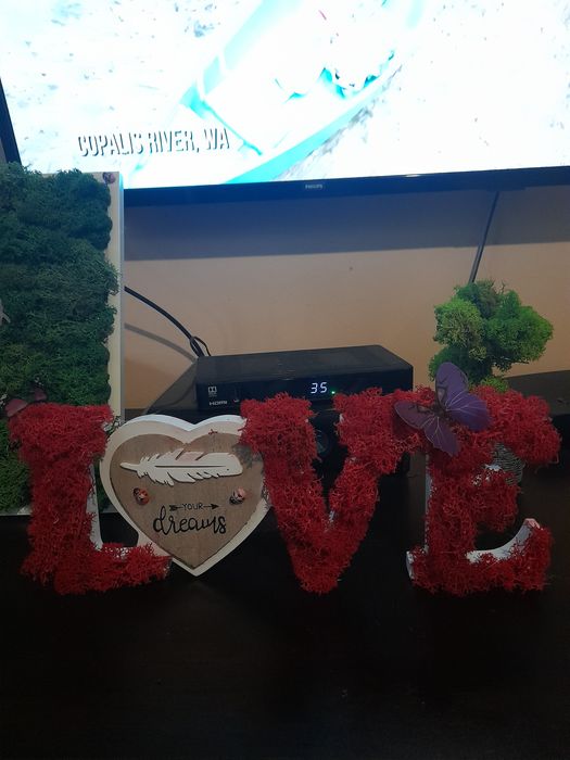 Картини от скандинавски мъх