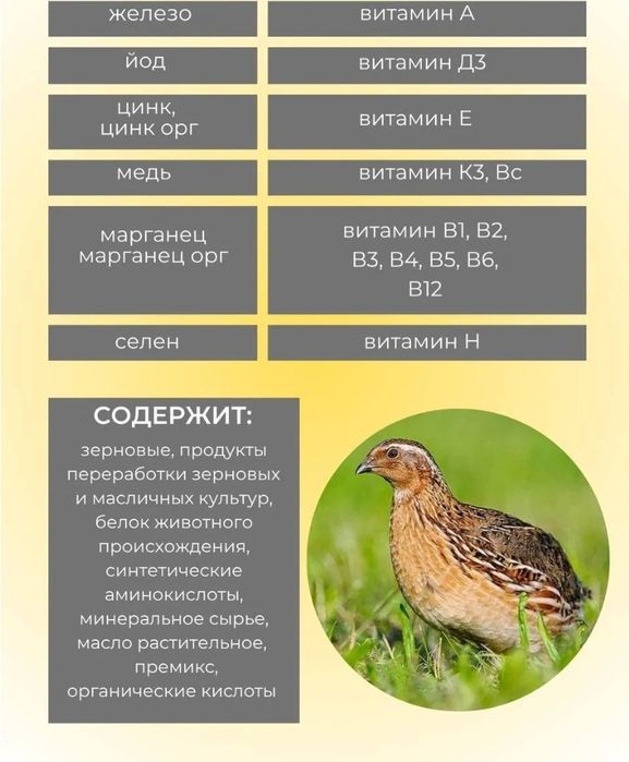 Продуктивная перепелка