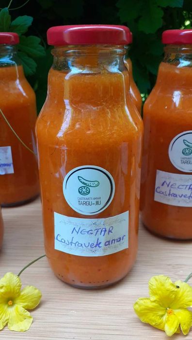 Nectar Castraveți Amari BIO Targu-Jiu (330ml)