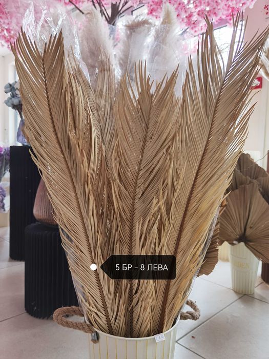 Сухи цветя - пампас, гипсофил, статица, хортензия и други