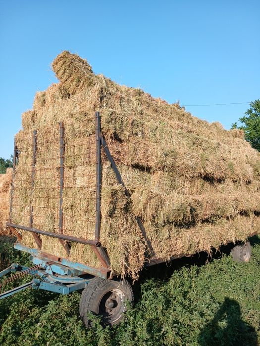 Vand baloti lucernă