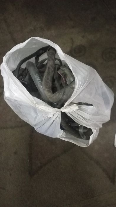 ГВО бар жаксы стептур.