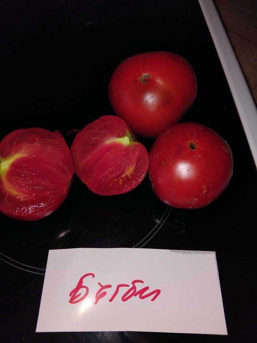 Семена за домати 2