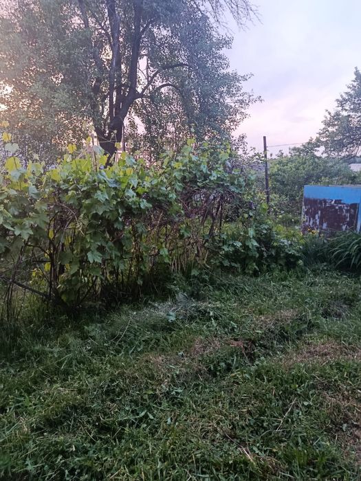 Продаётся дача в широкой щели