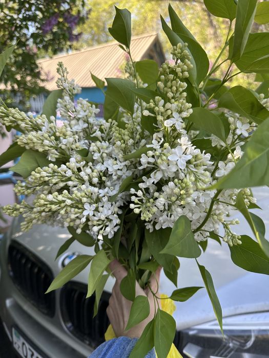 Продам дачу ПК Спутник