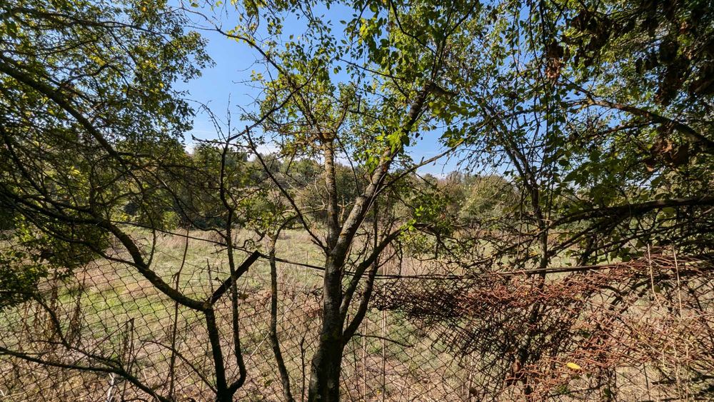 1811-Продава се едноетажна паянтова къща в село Благоево!