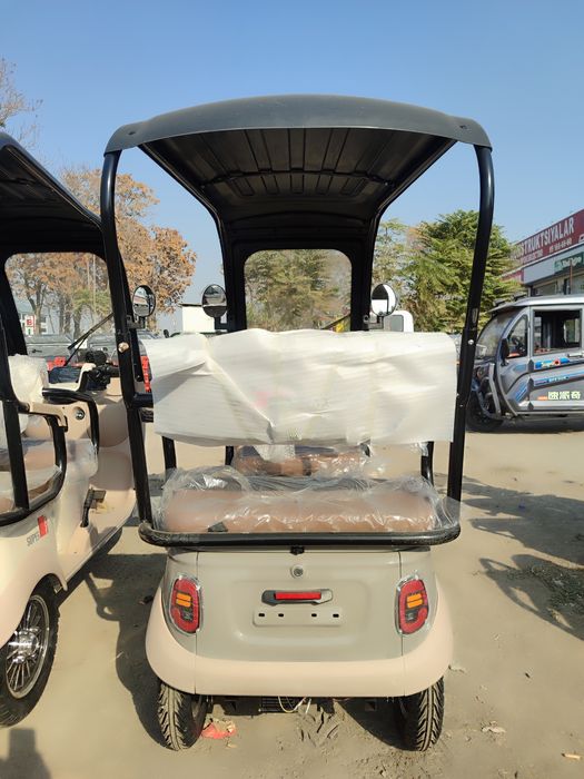 Электронный Трицикл Frd