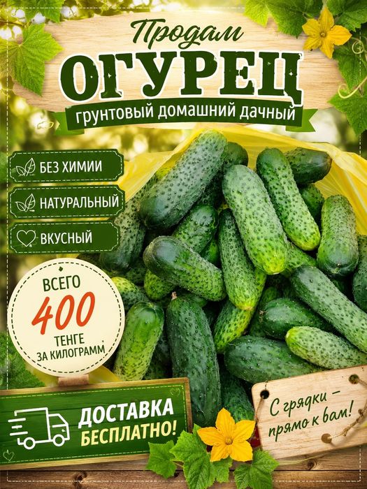 Продам Огурцы домашние