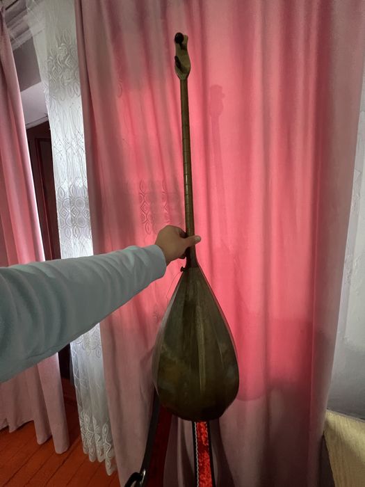 Ақынның домбырасы