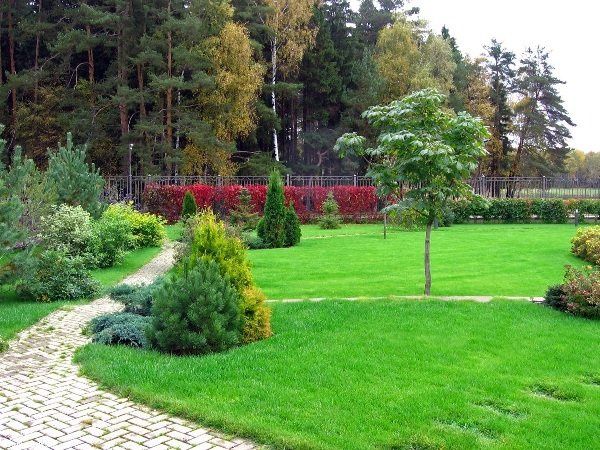 Услуги Садовника