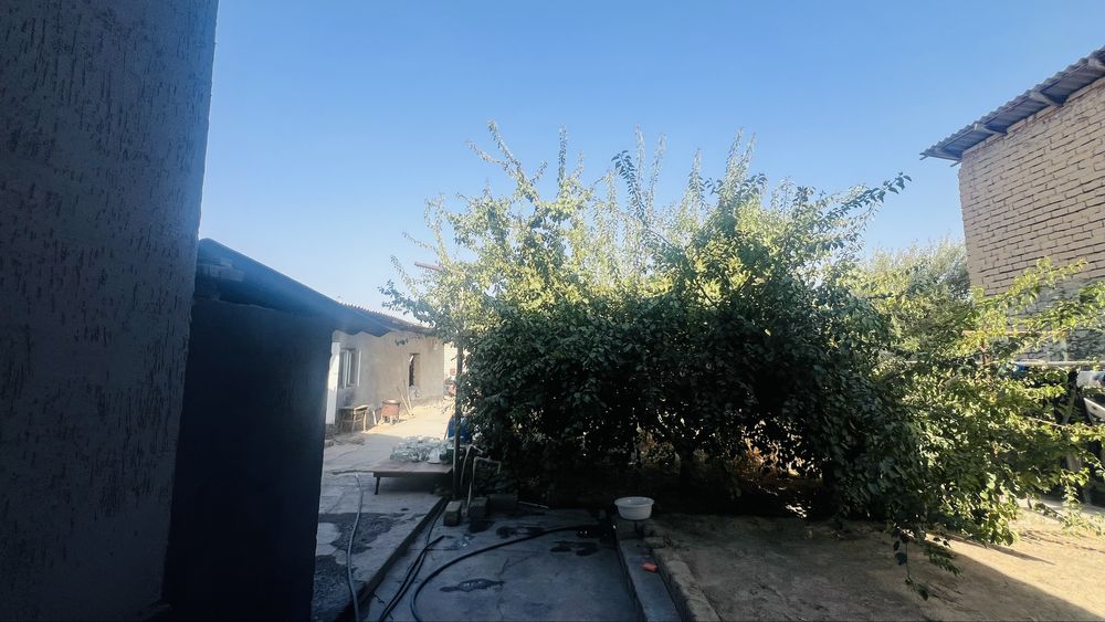 Toshkent shaxar Yangi hayot tumani Binokor mahallada uy sotiladi